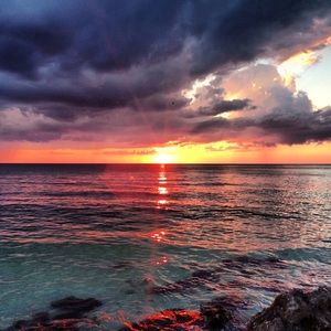 Meet your Posher, Lorraine